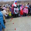 3 декабря 2015 года