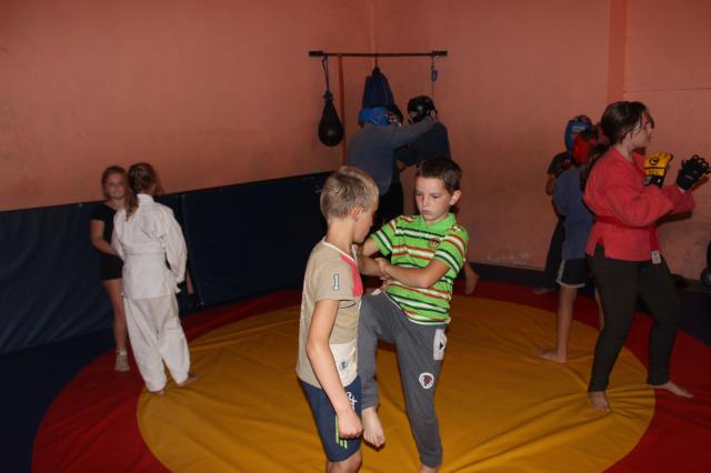 IMG 0061